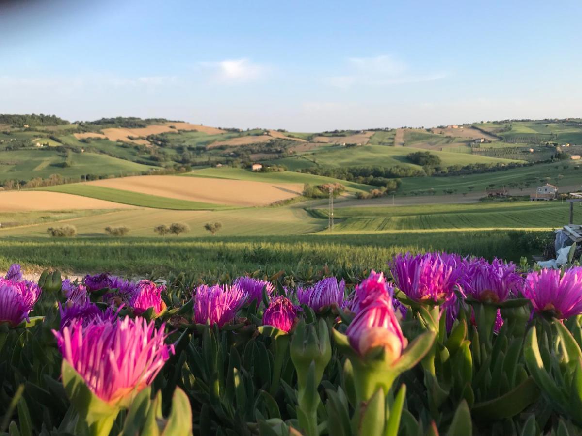 La Trave Bed & Breakfast Montecosaro  Bagian luar foto
